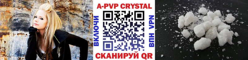 Купить  Урус-Мартан  A PVP крисы CK 