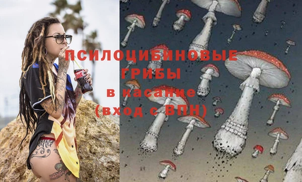 эйфоретик Надым