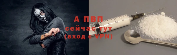 эйфоретик Надым
