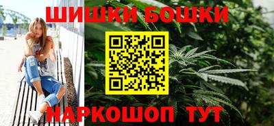 гашик Аргун