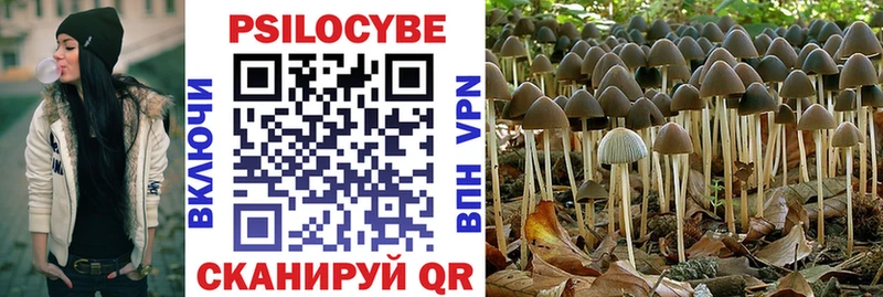 Галлюциногенные грибы Cubensis  Купить закладки  Урус-Мартан 
