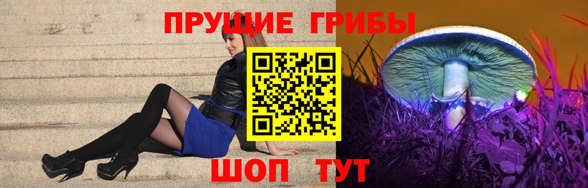 Урус-Мартан  Псилоцибиновые грибы Cubensis  Вход с VPN  Галлюциногенные грибы мухоморы 